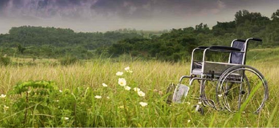 Non si sblocca il ddl Ambrosi sulla disabilità, Fratelli d'Italia